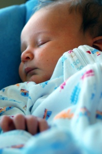 candrews Compfight CC